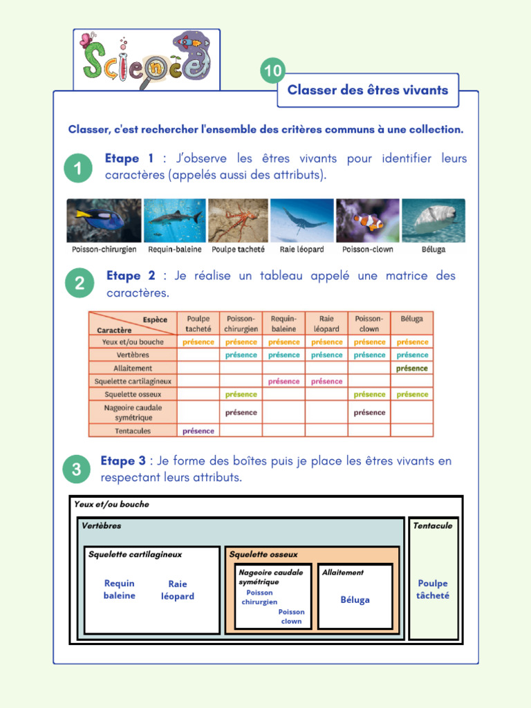 Classification des êtres vivants en SVT | PDF | Poisson | Phylogenèse