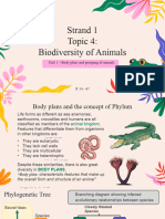 Strand 1 Topic 4 - Biodiversity of Animals