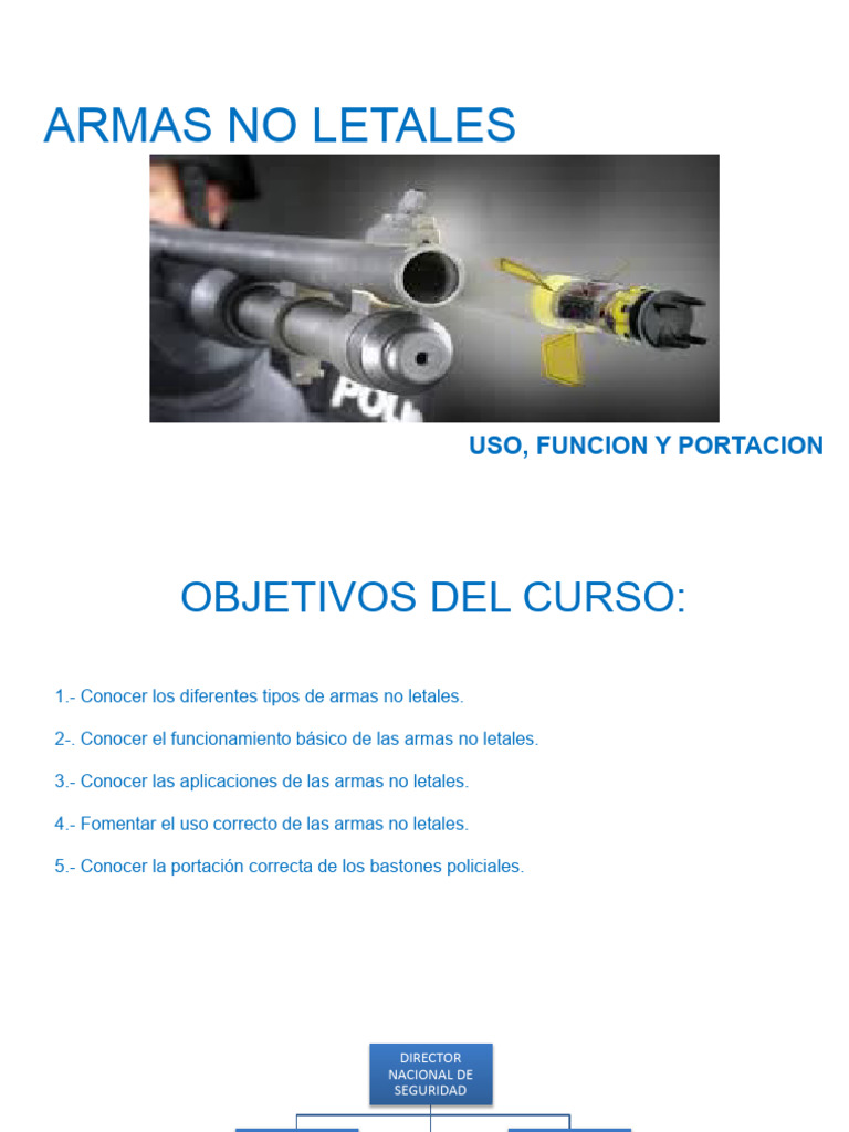 Armas No Letales: Uso y Normativa | PDF | Carruaje | Proteger