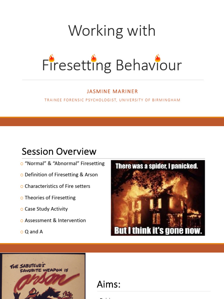 Understanding Firesetting Behavior | PDF | Attachment Theory | Attitude ...