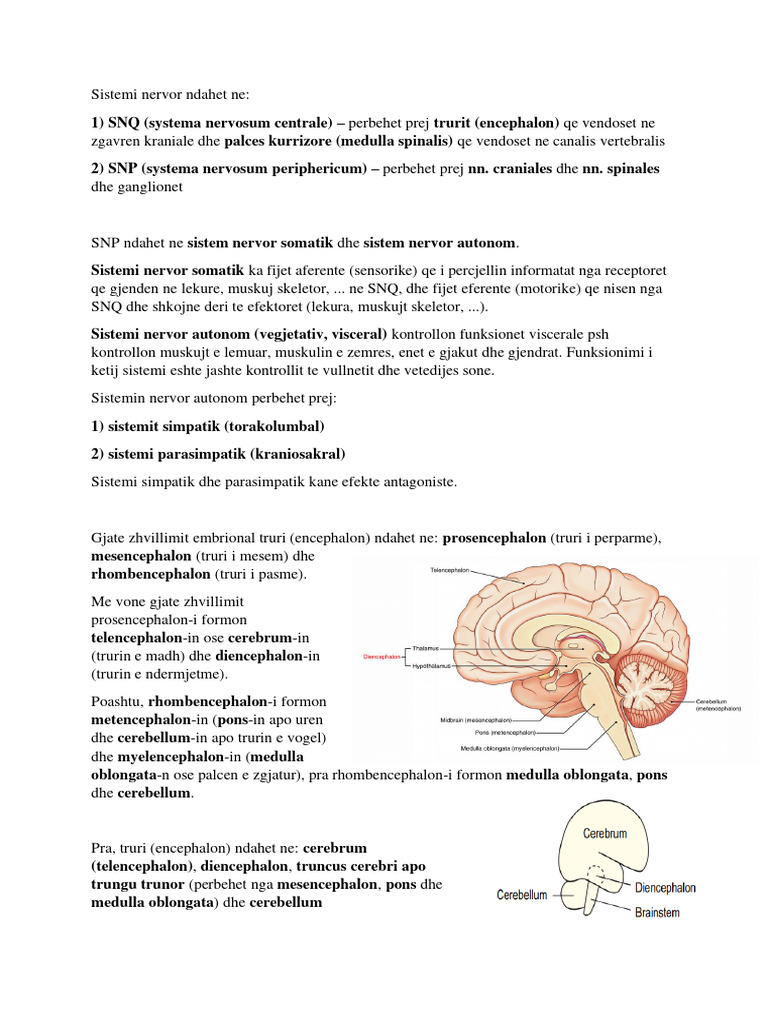 SNQ | PDF