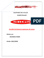 rapport de stage sbgs. soumia fanid-converti (1)