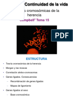 Tema 3.3_Bases_cromosomicas_herencia