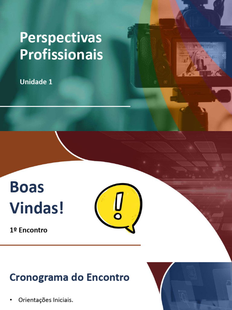 Aula 1 - Perspectivas Profissionais - 2024 | PDF | Vida | Estado