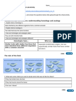 Homologies and Analogies Virtual Lab Activity