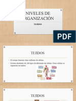 Estudio de Los Tejidos