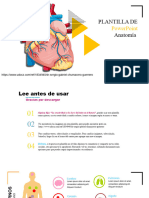 Plantilla de Powerpoint de Anatomia (1)