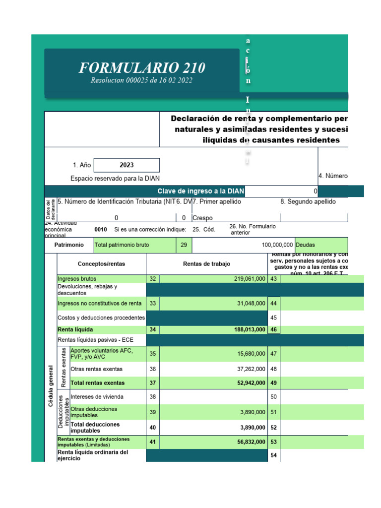 Copia de Formato 210 | PDF | Capital (economía) | Impuestos