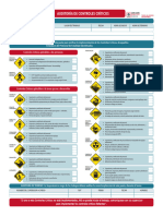 Pauta Auditoria de Controles Criticos