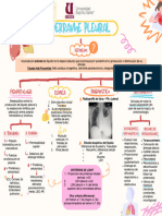 Derrame Pleural