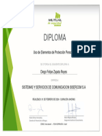 Diploma EPP