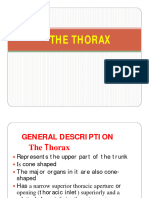 The Thorax-1 (Compatibility Mode)