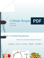 Cellular - Respiration - 1 TH