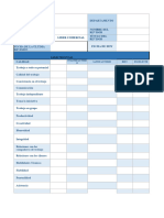 Excel Lider Comercial