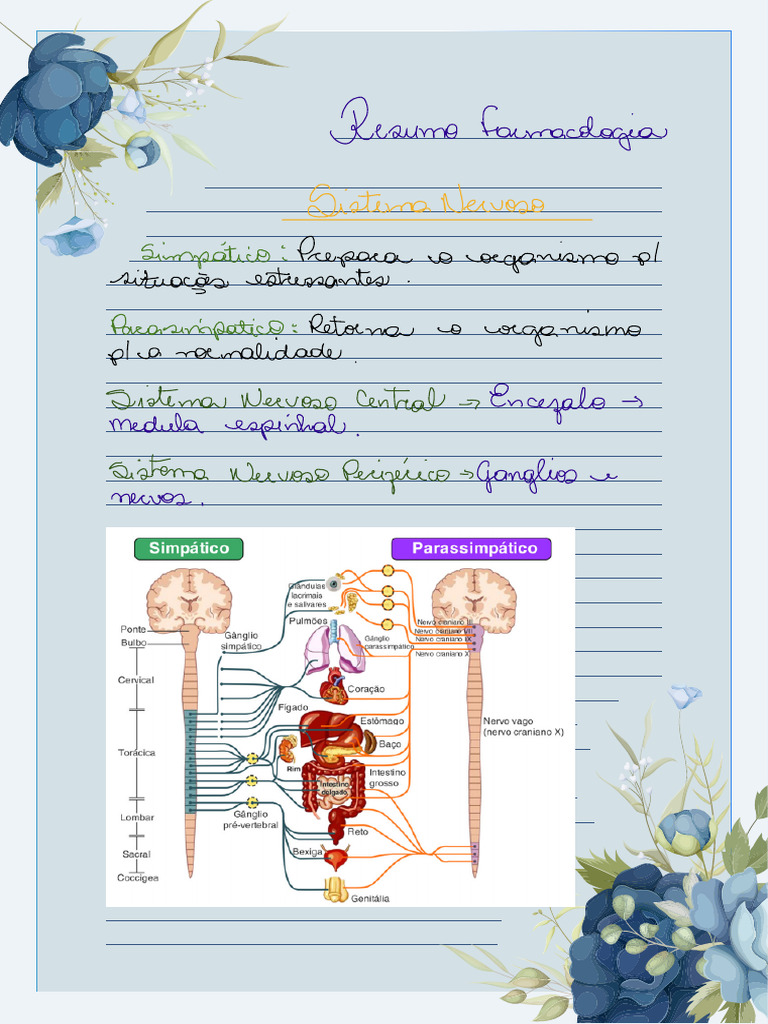 Resumo Farmacologia Pdf