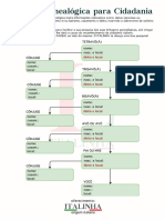 Arvore Genealogica Cidadania