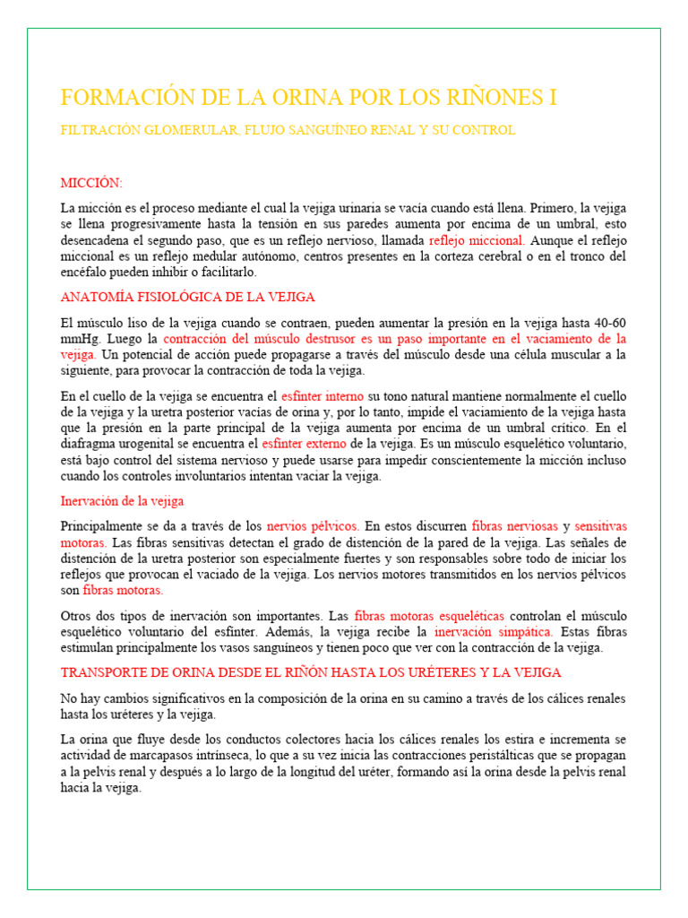 Formación de La Orina Por Los Riñones I | PDF | Riñón | Angiotensina
