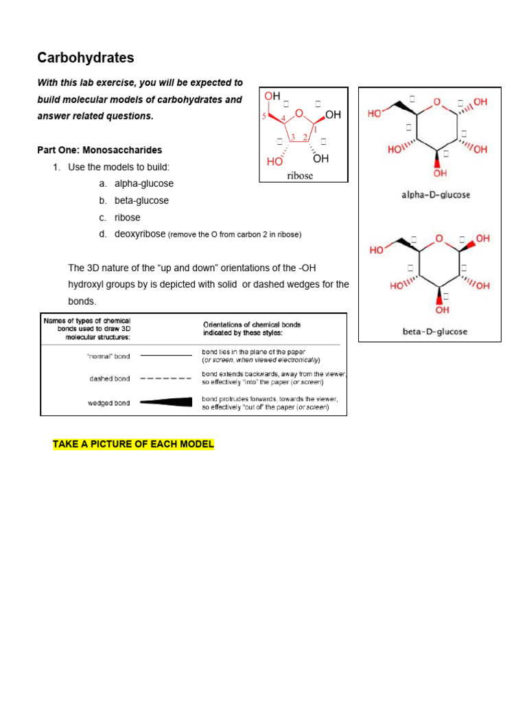 Carbohydrate Molecular Modeling Lab | PDF | Carbohydrates | Polysaccharide