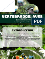 Vertebrados Compressed