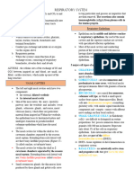 Respirattory System