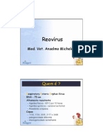 16_Reovirus