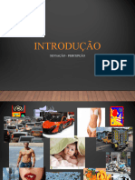 Aula 2 Introdução SENSAÇÃO - PERCEPÇÃO