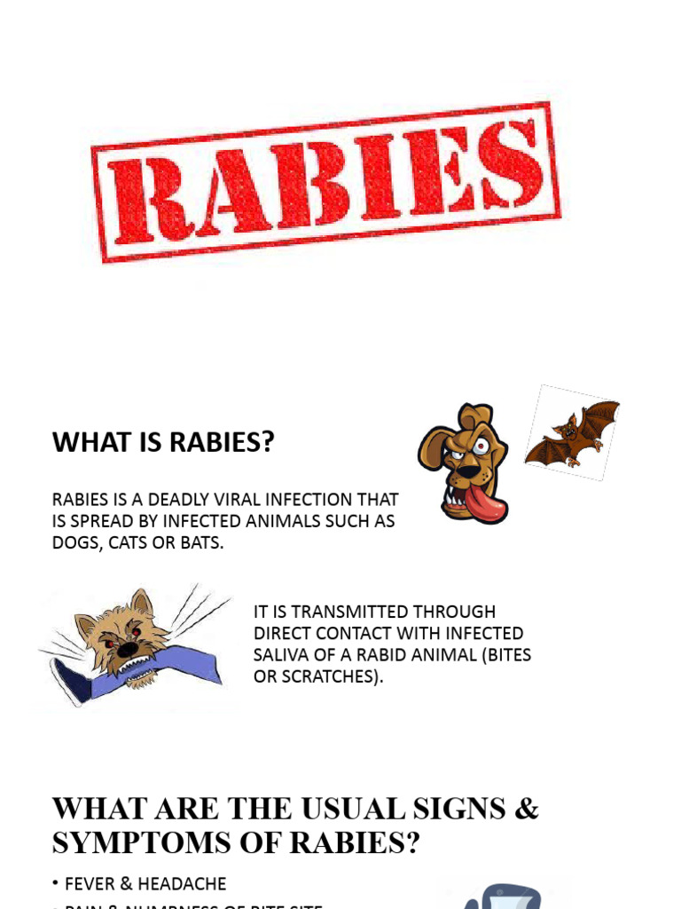 RABIES | PDF