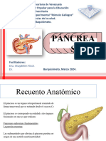 DIAPOSITIVAS PANCREAS