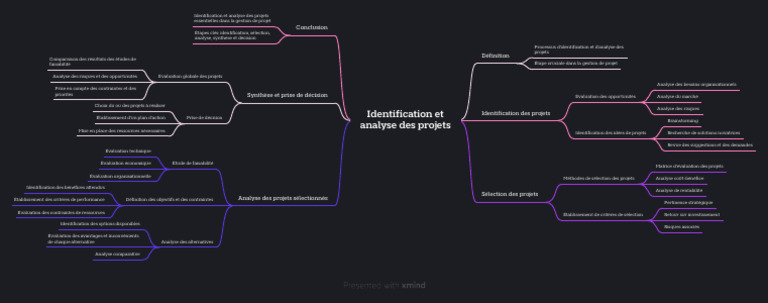 Identification et Analyse de Projets | PDF | Gestion de projet | Business