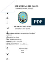 Determinacion Del PH Informe