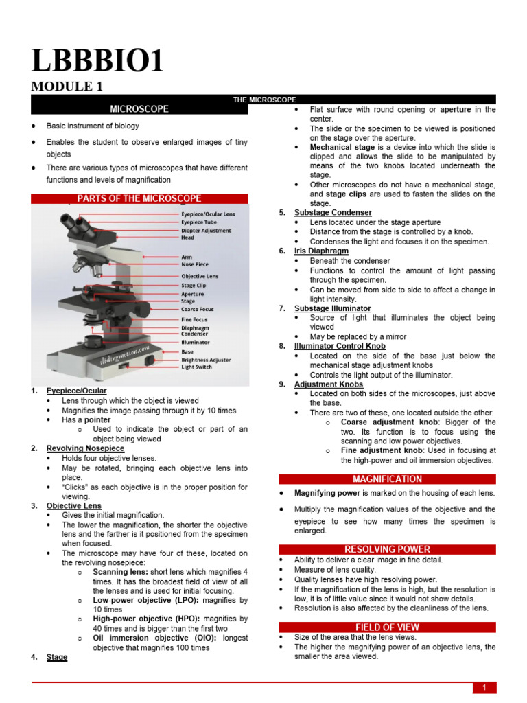 Microscope Basics and Cell Structure | PDF | Optical Devices | Microscopy