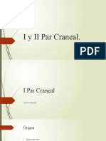 02 401249066-Primer-Par-Craneal-pptx
