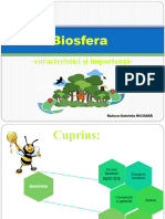 Biosfera. Caracteristici Si Importanta