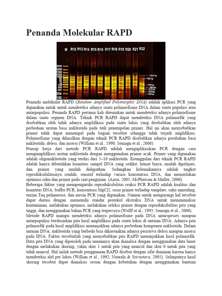 Penanda Molekuler Rpad | PDF