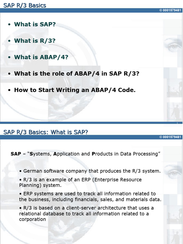 Chapter 01 (SAP Basics) | PDF | Client–Server Model | Computing