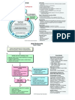 2010 Guidelines Diagrams