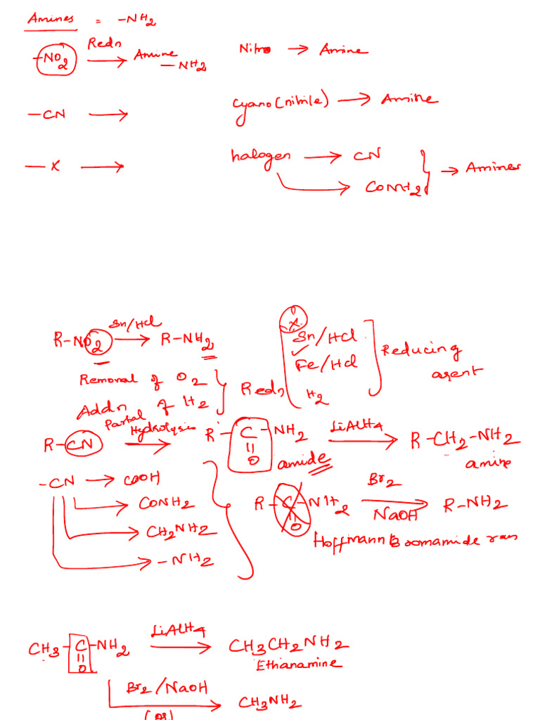 Amines Revision 2 | PDF