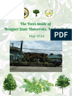 Trees Inside Benguet State University