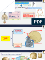 ARCHIVO 02-OSTEOLOGIA