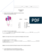 FichaExcretor