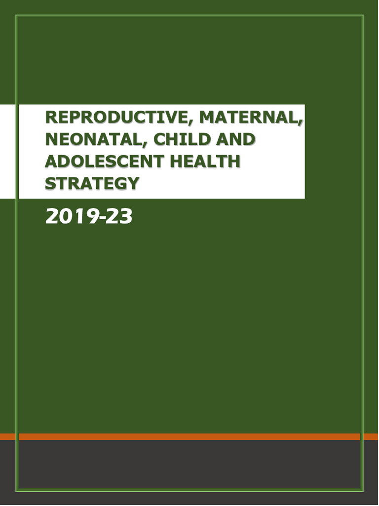 RMNCAH Strategy 2019-2023 Overview | PDF | Maternal Health | Infants