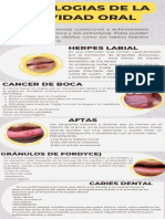 Infografia de Patologia de Cavidad Oral