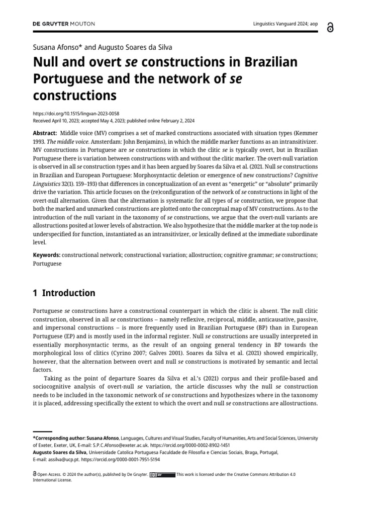 2024 Netwok Se Constructions Linguistics Vanguard PDF Semantics 