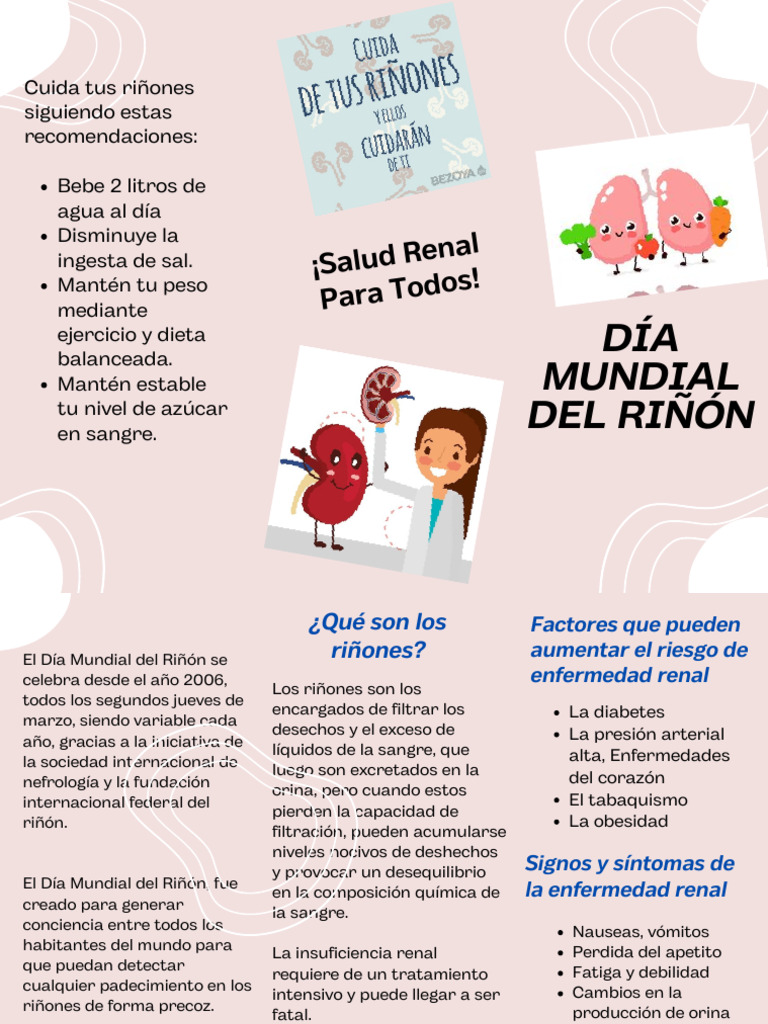 Día Mundial Del Riñon | PDF | Riñón | Especialidades Medicas