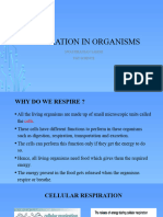 6 - Respiration in Organisms