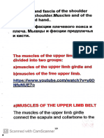 Lecture #08 Anatomy 