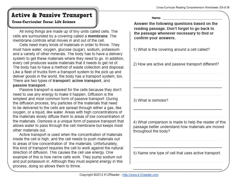 5th Grade Reading Comprehension Worksheets - Fifth Grade - Week 5 | PDF ...