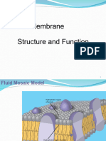 Plasma Membrane Structure and Function