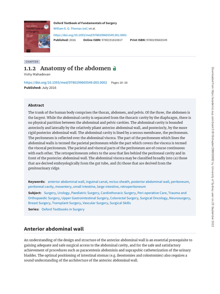 Female Abdominal Anatomy Overview | PDF | Abdomen | Peritoneum