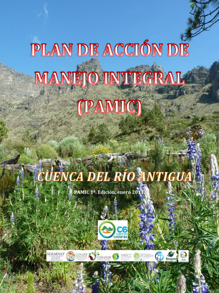 Plan de Manejo Integral Cuenca Antigua | PDF | Cuenca de drenaje ...